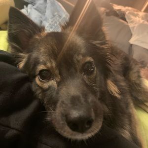 Meet your Posher, Lala